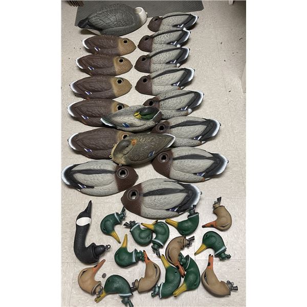 Set of 16 Duck Decoys and 1 Canada Goose Decoy