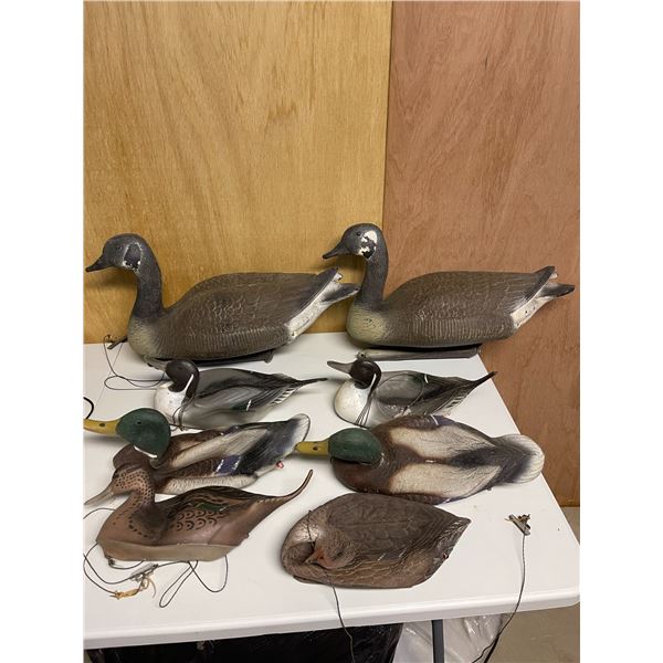 Assorted Inflatable duck decoys and 2 Canada Goose decoys in mesh bag
