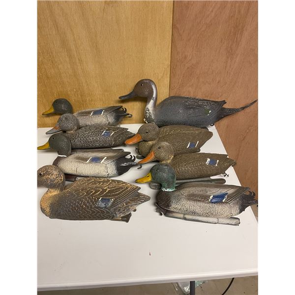 16 Assorted Duck Decoys