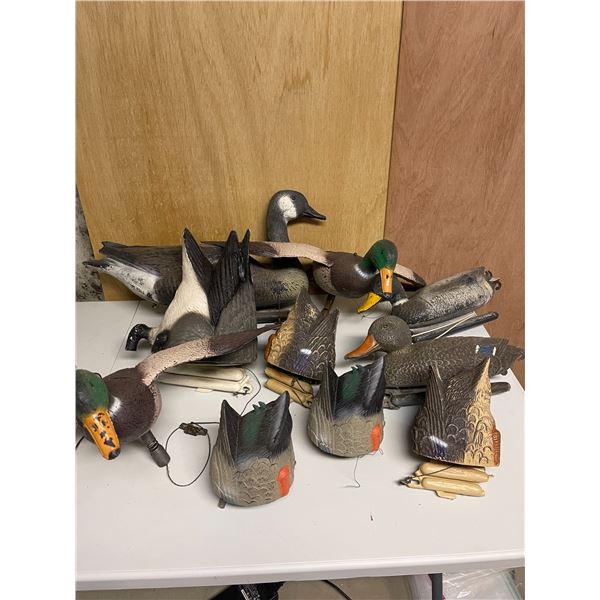 10 Assorted Decoys
