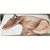 Image 3 : MONTANA DECOY FOLDING ELK COW DECOYS
