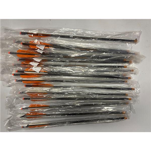 17 - MAXIMUS CROSSBOWS Carbon Slayer 20in Arrows