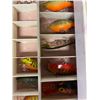 Image 12 : LOT 356 - ASSORTED CRANK BAIT TACKLE BOX