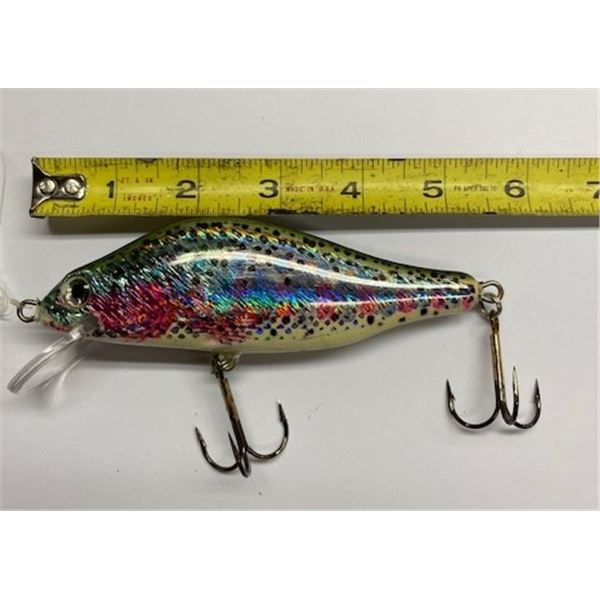 HESTER Fishing 5 1/2in Rainbow Trout Jerk Floater