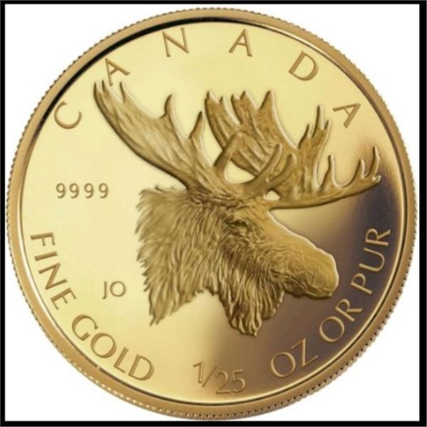 RCM; 2004 50¢ 1/25 oz Gold Moose - Pure Gold Coin. Tax Exempt.