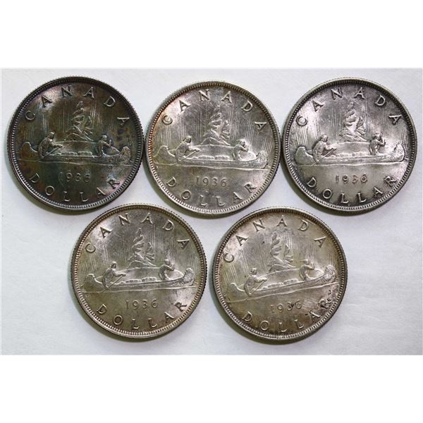 1936 $1 UNC or better, lot of 5 coins.
