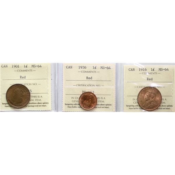 1901 1¢, 1916, 1936, All 3 coins ICCS Very Choice Mint State-64 Red.
