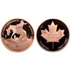 Image 1 : Calgary Numismatic Society 2017 Canada 150 bronze