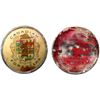 Vintage Button;  Canadian Foresters Court - THE DOMINION REGALLIA CO. LIMITED.  No Ribbon and lots o