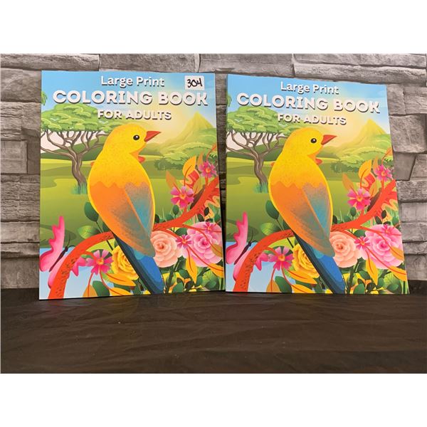 Lot of 2 - Lage Print Coloring Book For Adults
