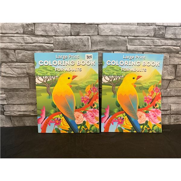 Lot of 2 - Lage Print Coloring Book For Adults
