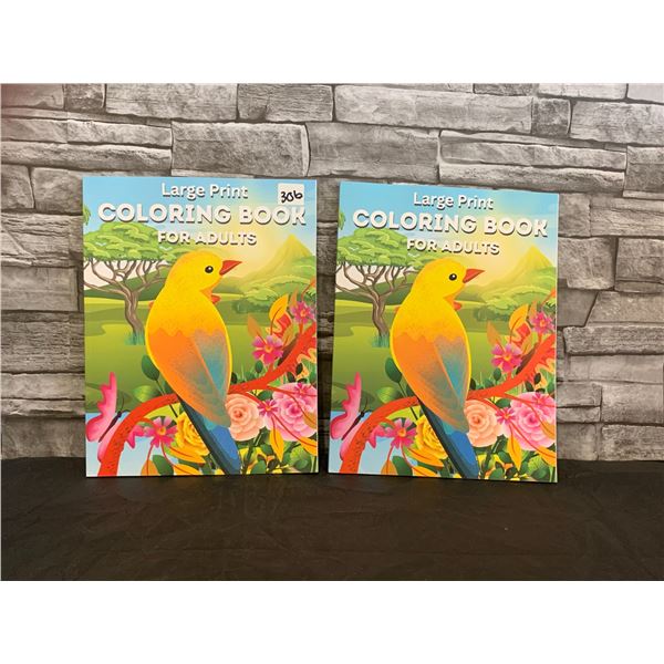 Lot of 2 - Lage Print Coloring Book For Adults