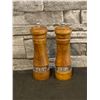 Image 1 : Salt & Pepper Shaker Set