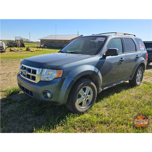 SUV : 2012 Ford Escape XLT : 2WD (Sask Registered)