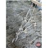 Image 2 : Antique Garden Cultivator (39"H x 29"W x 56"D)