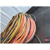 Image 2 : Extension Cords (5) : Variety