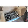 Image 3 : Variety of Screws : Deck & Self - Tapping