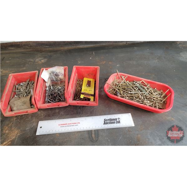 Grouping : Magnetic Parts Tray; Countersink Set; Variety of Deck Screws; etc!