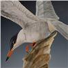 Image 9 : Boehm Porcelain Limited Edition Figurine, Common Tern 497