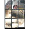 Image 1 : Lot Of 9 Various Walking Dead Insert Collector Cards