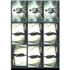 Image 2 : Lot Of 9 Various Walking Dead Insert Collector Cards