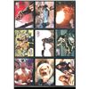 Image 1 : Lot Of 9 Xena Collectible Trading Cards