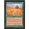 Image 1 : Magic the Gathering Elephant Grass Visions