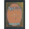Image 2 : Magic the Gathering Shadow Rift Tempest