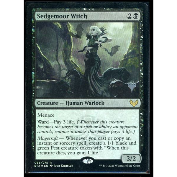 Magic the Gathering Sedgemoor Witch FOIL Strixhaven School of Mages