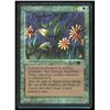Image 1 : Magic the Gathering Argothian Pixies Antiquities