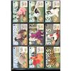 Image 1 : Lot of 9 Embossed Beanie Baby Collector Cards