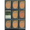 Image 2 : Lot Of 9 Various Magic The Gathering Cards Various Sets & Colors