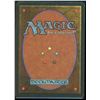 Image 2 : Magic the Gathering Koskun Falls Homelands