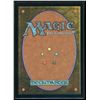 Image 2 : Magic the Gathering Winds of Abandon Modern Horizons
