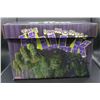 Image 1 : New The Immortal Hulk Short Comic Box