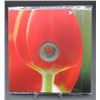 Image 1 : RCM 2011 Tulip with Ladybug - 25 Cent  Coloured Coin Diameter is 35mm