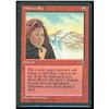 Image 1 : Magic the Gathering Winter Sky Homelands