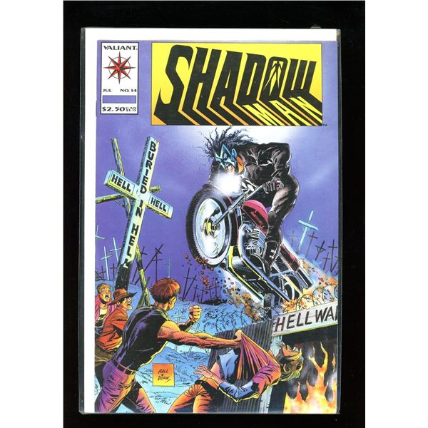 Valiant Shadow #14