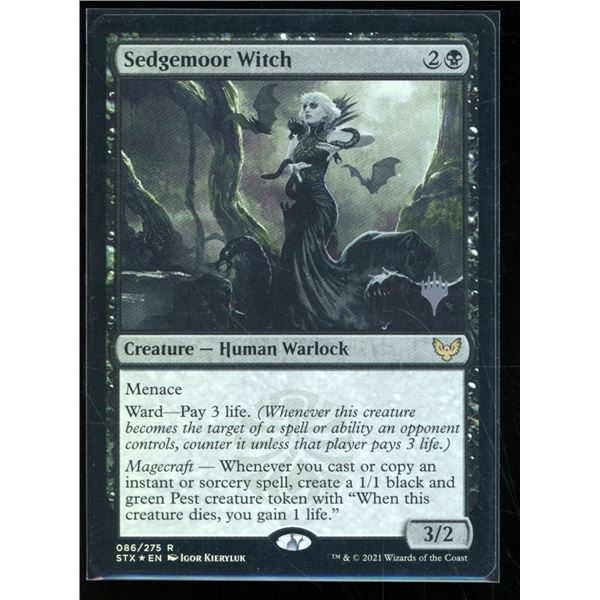 Magic the Gathering Sedgemoor Witch FOIL Strixhaven School of Mages