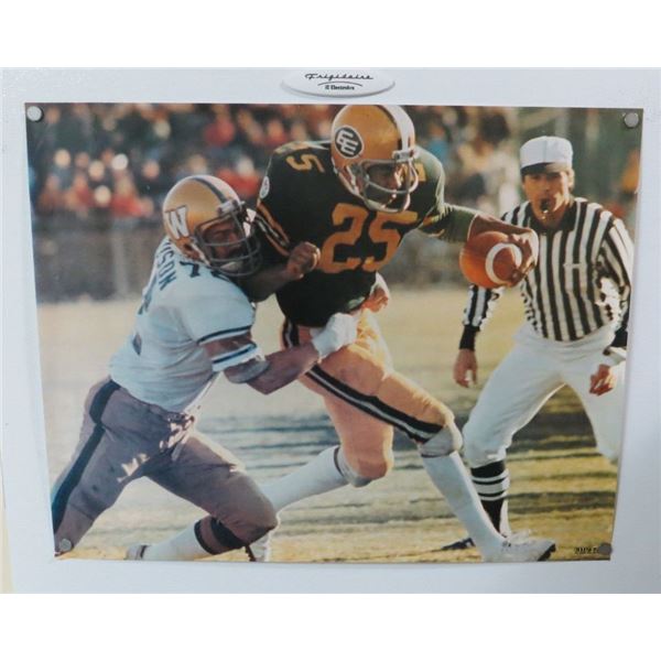 Edmonton Eskimos Vintage Poster 23" x 18"