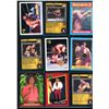 Image 1 : Lot of 9 Various Wrestling Collector Cards