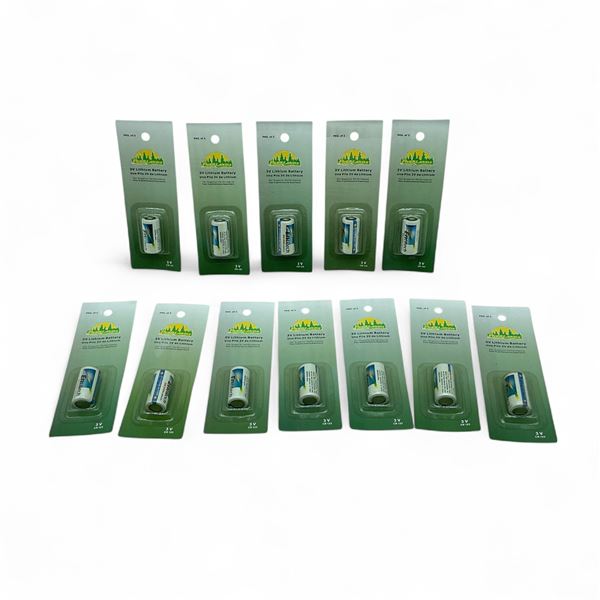 Parklands 3V Lithium Batteries X 12 Qty