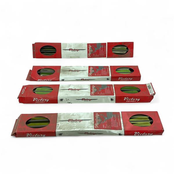 Victory Archery X-Bolt 20FG Arrows in 319, 321 and 323 Grains X 24 Qty