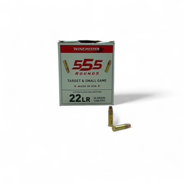 Winchester Target & Small Game .22 LR, 36 Grain Copper Plated Hollow Point Ammunition, 555 Rounds