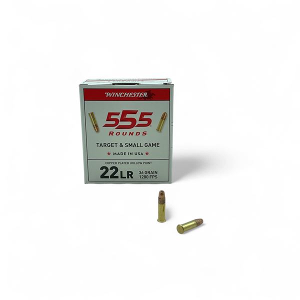 Winchester Target & Small Game .22 LR, 36 Grain Copper Plated Hollow Point Ammunition, 555 Rounds