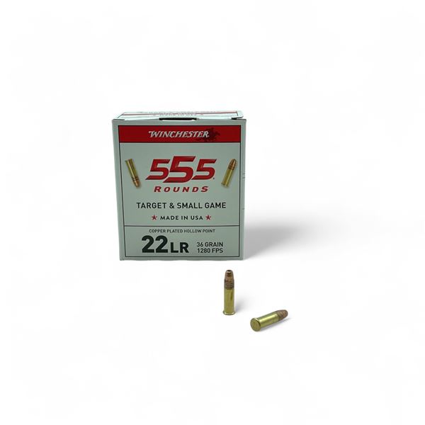 Winchester Target & Small Game .22 LR, 36 Grain Copper Plated Hollow Point Ammunition, 555 Rounds