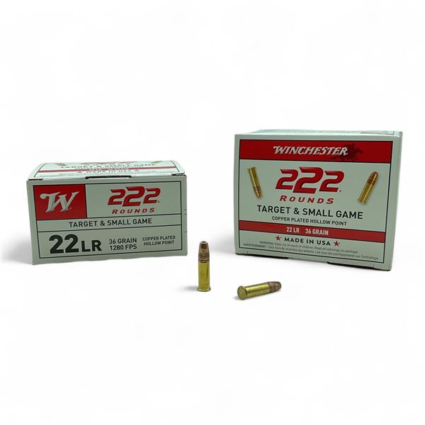 Winchester Target & Small Game .22 LR, 36 Grain Ammunition, 444 Rounds