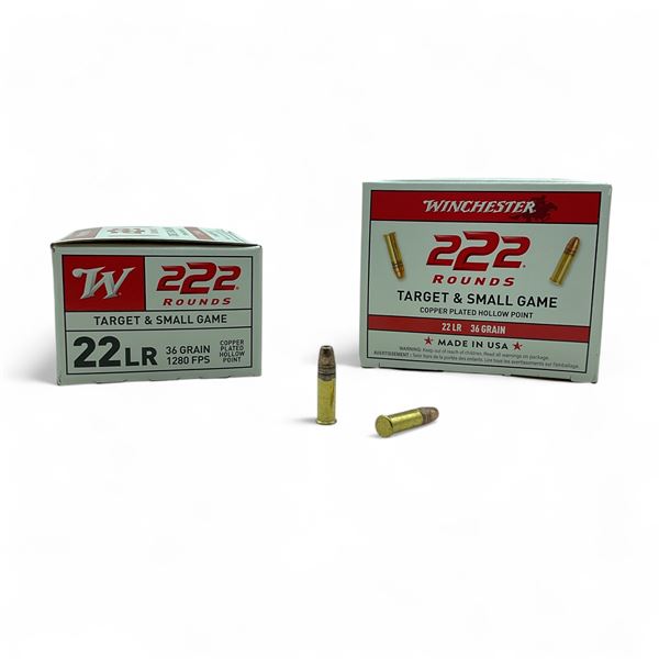 Winchester Target & Small Game .22 LR, 36 Grain Ammunition, 444 Rounds