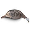 Image 1 : H.S. Strut Feeding Hen Decoy, New