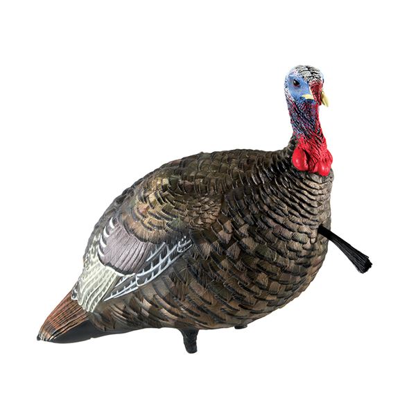 Avian-X LCD Quarter-Strut Jake Decoy, New